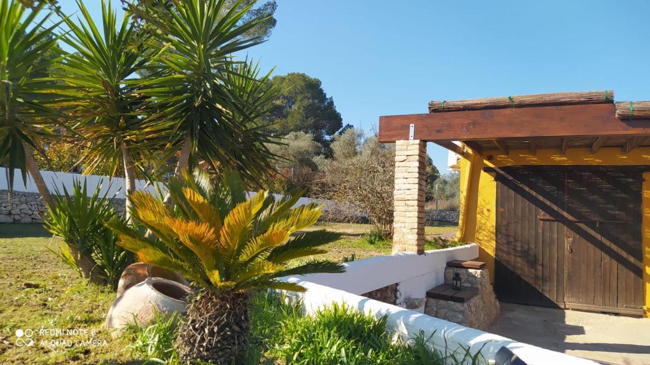 Casa Con Vistas, Piscina Y Animales De Granja, La Caseta Tarragona Bagian luar foto