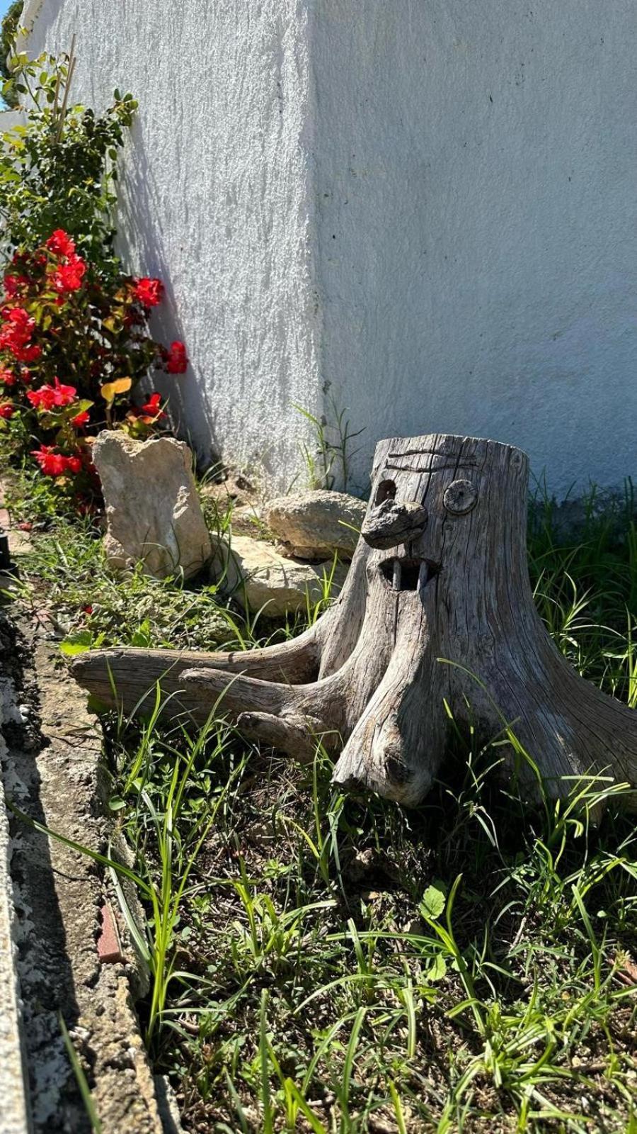 Casa Con Vistas, Piscina Y Animales De Granja, La Caseta Tarragona Bagian luar foto